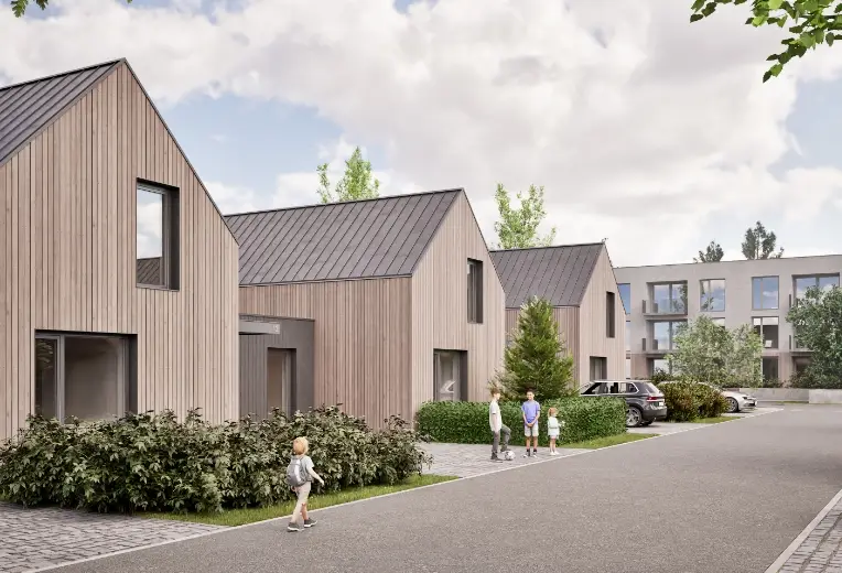 Ploske nove IBV