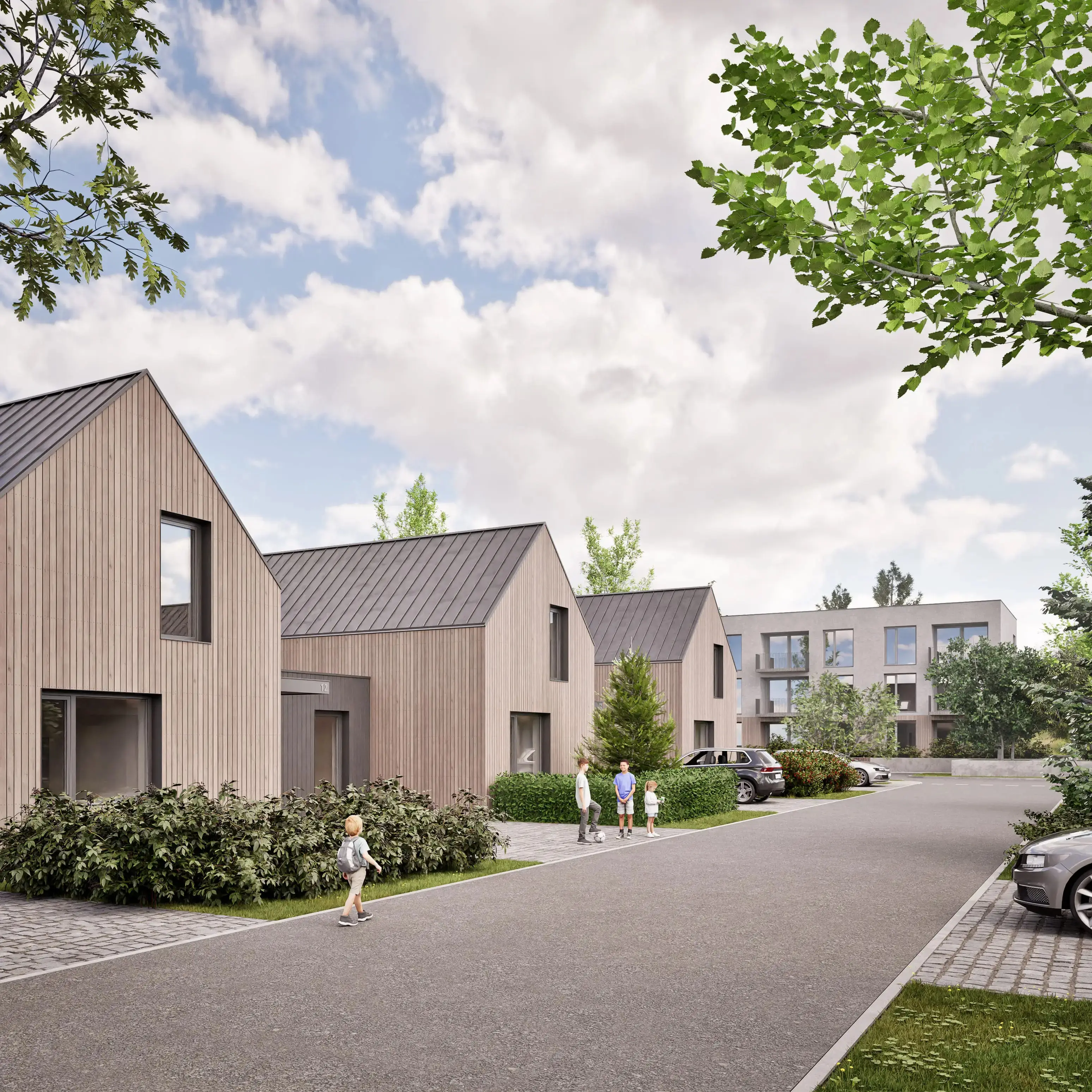 Ploske nove IBV